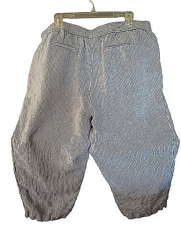 Charter Club Linen Pants (view 2)