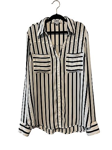 Express Button-Down Shirt (view 1)