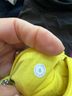 Lululemon Athletica Yellow Skort Size 8 - photo 3