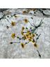 Floreat 100% Polyester Floral Multi Color Kimono One size - photo 13