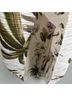 Vince. Tropical Garden Flower Palm Tree Print Silk Skirt - photo 10