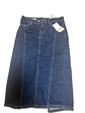 Zara Denim Skirt (view 1)