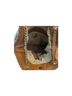Tory Burch 100% Leather Brown Leather Tote One size - photo 6