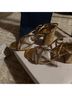 Jessica Simpson Heels Size 7 1/2 - photo 2