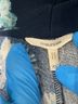 Maurices Floral Blue Maurices Blazer Size XS - photo 5