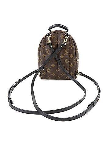 Louis Vuitton Louis Vuitton Monogram Palm Springs Mini Backpack, Brown, M44873 RFID (view 2)