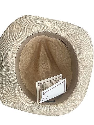 J.Crew Hat (view 2)