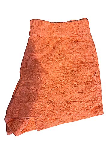 J.Crew Dressy Shorts (view 1)