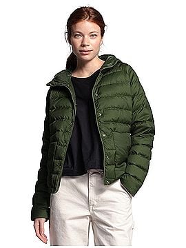 The North Face Jacket (view 1)