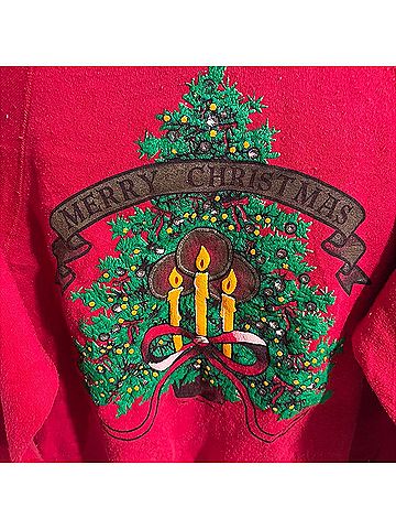 Lee Sweatshirt (view 2)