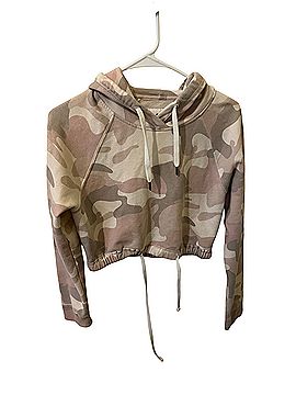 Hollister Pullover Hoodie (view 1)