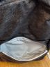 Lululemon Athletica Everywhere Backpack 22L Backpack - photo 11