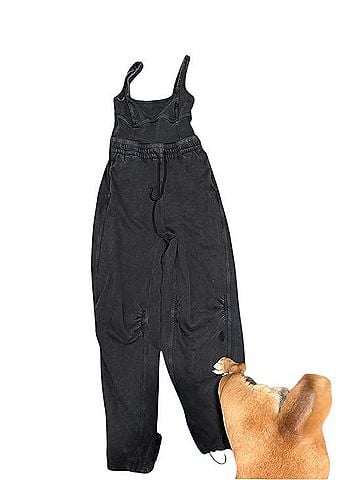 Free People Inbound Casual Pants (view 2)