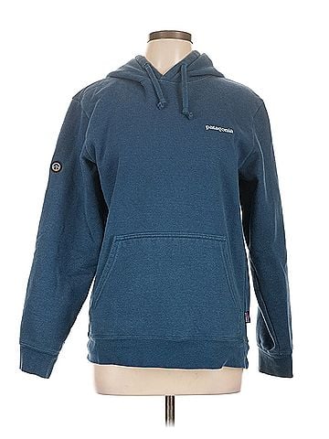 Patagonia patagonia Patagonia Pullover Hoodie (view 1)