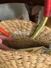 Roller Rabbit Multi Color Tan Clutch One size - photo 3