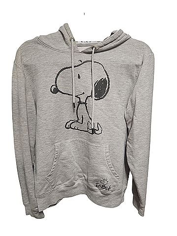 Peanuts Pullover Hoodie (view 1)