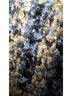 Sweet Rain Plaid Blue Brown Jacket Size 1X - photo 7