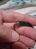 Unknown CC Green Gold Watch Size M - photo 4