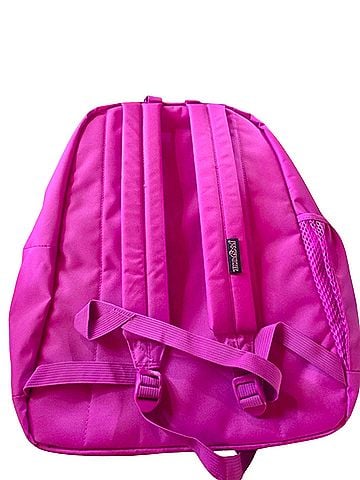 Jansport Belt (view 2)