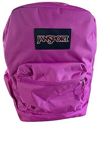 Jansport Belt (view 1)