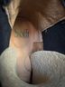 Sofft Martha Ankle Boots - photo 7