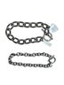 Celine Dion Celine Dion Belt - photo 1