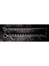 Celine Dion Celine Dion Belt - photo 8