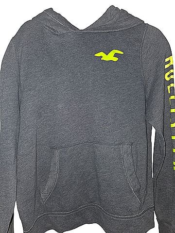 Hollister Pullover Hoodie (view 1)