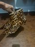 Gianni Bini 100% Leather Animal Print Brown Black Boots Size 9 1/2 - photo 4