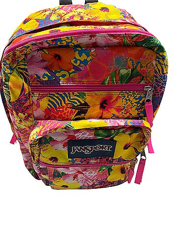 Jansport Backpack (view 1)