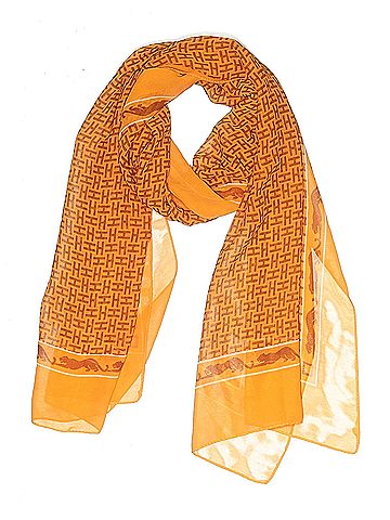 Effy Hematian Effy Hematian Scarf (view 1)