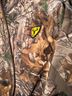 Realtree Jacket Size XL - photo 2