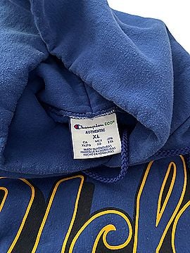 Champion Pullover Hoodie (view 2)