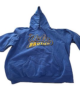 Champion Pullover Hoodie (view 1)