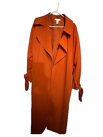 H&M Coat (view 1)