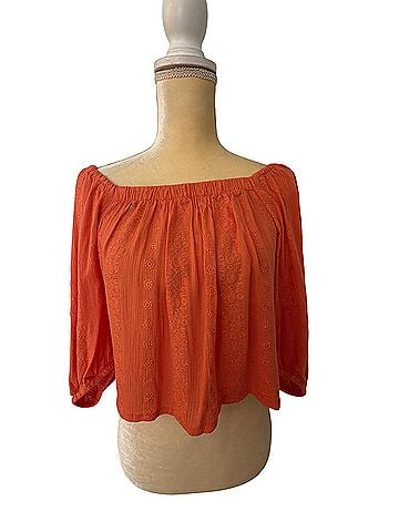 BB Dakota Short Sleeve Blouse (view 1)