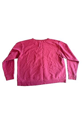 Hanes Pullover Sweater (view 2)