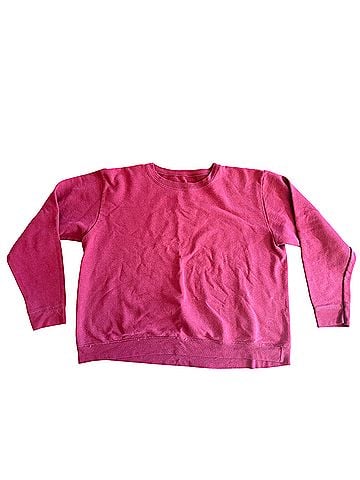 Hanes Pullover Sweater (view 1)