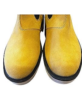 Sorel Ankle Boots (view 2)