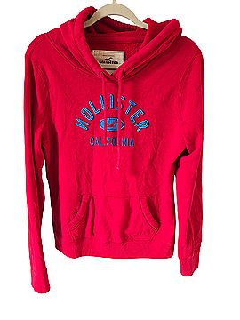 Hollister Pullover Hoodie (view 1)