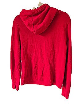 Hollister Pullover Hoodie (view 2)