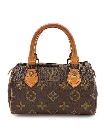 Louis Vuitton LOUIS VUITTON Louis Vuitton Monogram Mini Speedy Handbag Pouch M41534 (view 2)
