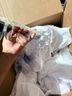 Quiet Life Multi Color Sunglasses One size - photo 13