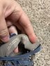 Baretraps Blue Sandals Size 8 - photo 4