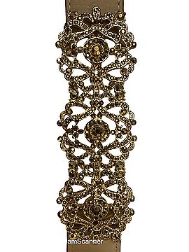 BCBGMAXAZRIA bcbg Belt (view 1)
