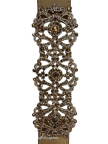 BCBGMAXAZRIA bcbg Belt (view 1)