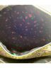 Betsey Johnson Floral Multi Color Yellow Black White Makeup Bag One size - photo 6