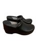 Dansko Professional Clogs Mule/Clog - photo 2