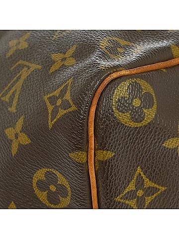 Louis Vuitton Speedy Monogram Canvas Brown Canvas Handbag (view 2)
