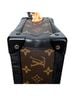 Louis Vuitton Brown Solar Ray Soft Trunk One size - photo 6